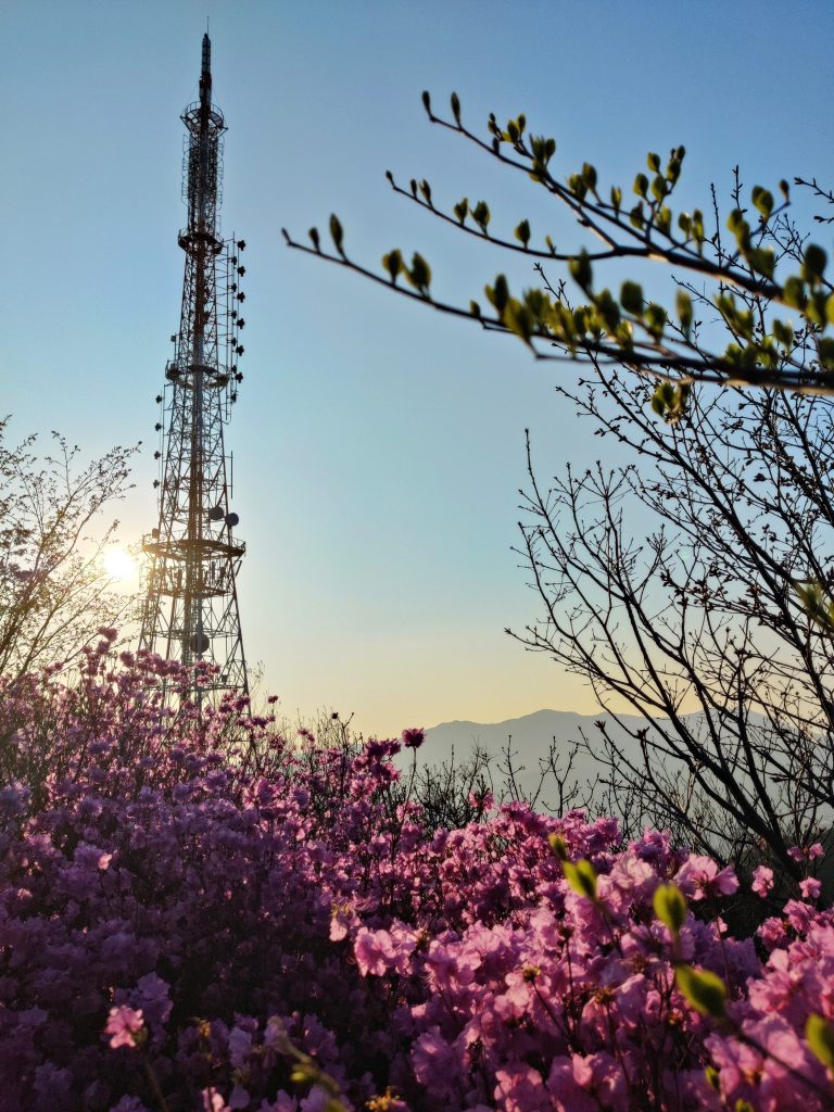 Hwangnyeongsan in spring