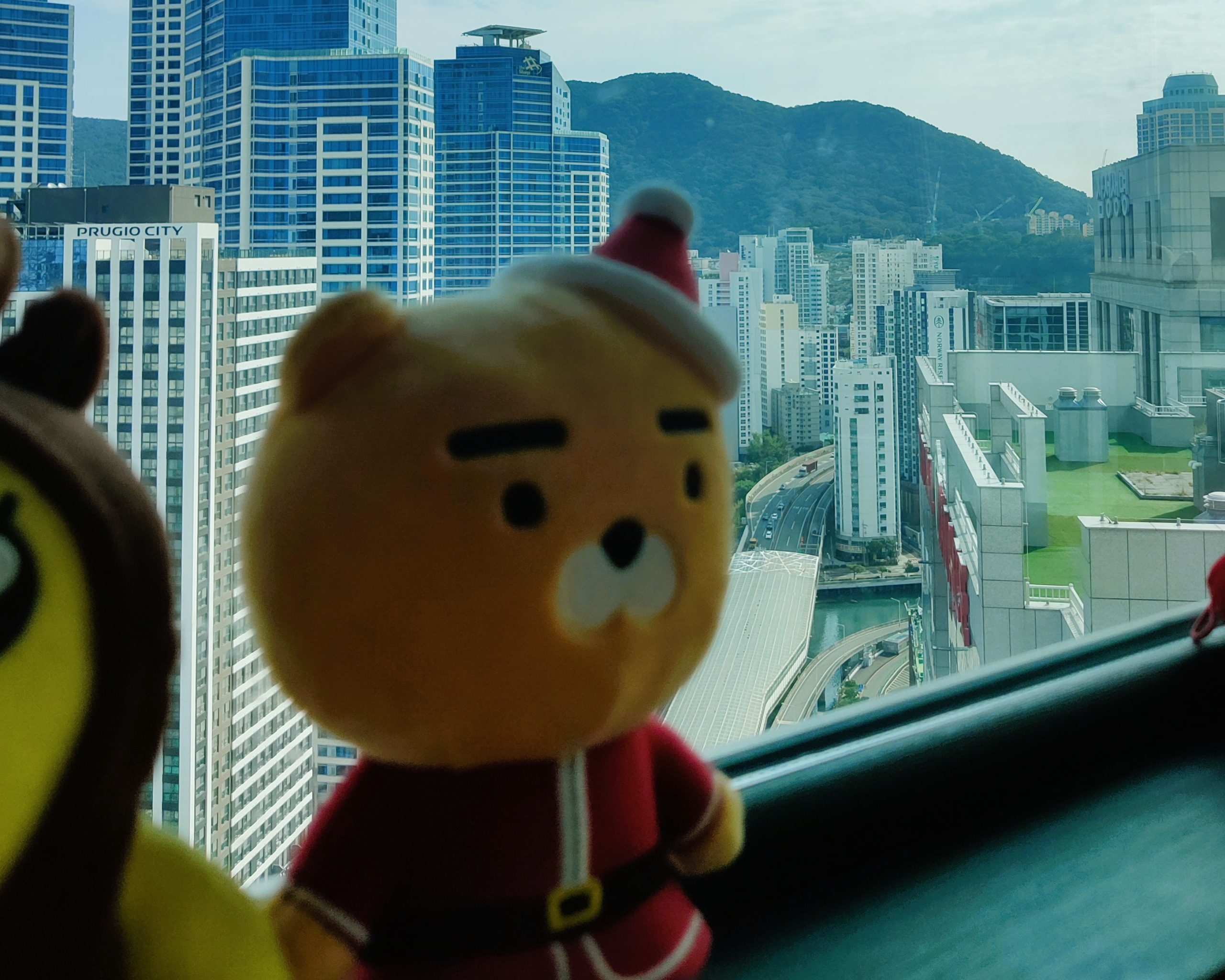 Packing essentials - South Korea