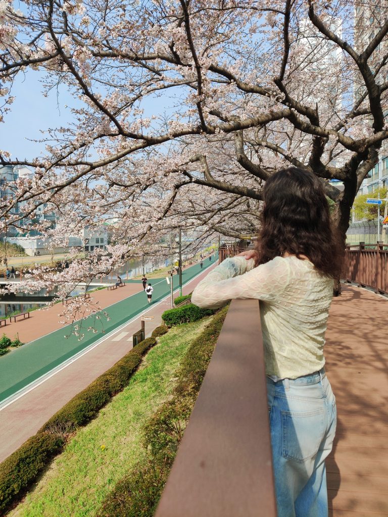 What to pack for spring in South Korea