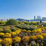 Where to stay in Busan - Gwangalli
