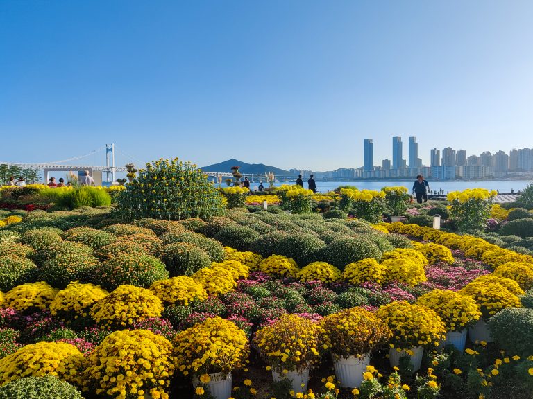 Where to stay in Busan - Gwangalli