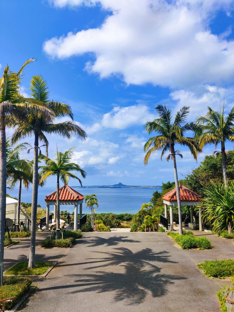 Okinawa palm trees