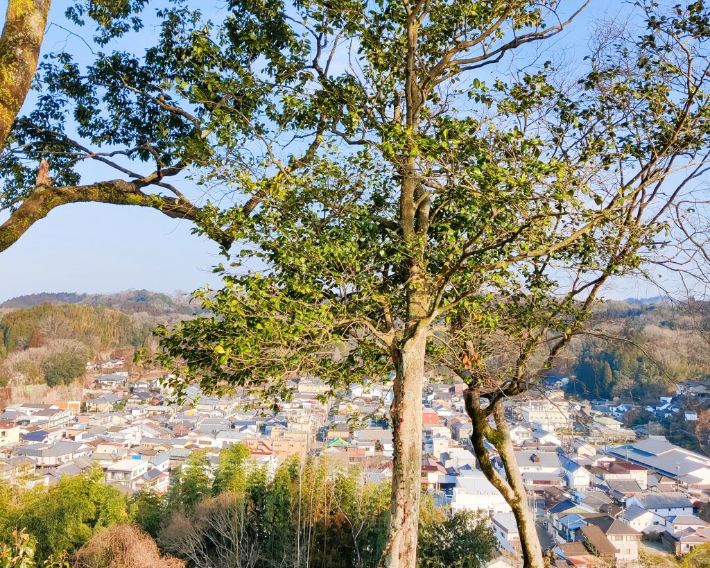 Taisho Park - Taketa