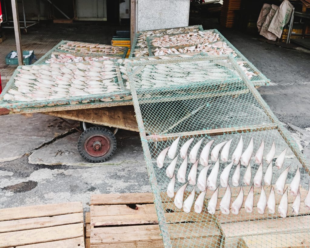 Busan - Jagalchi market and around
