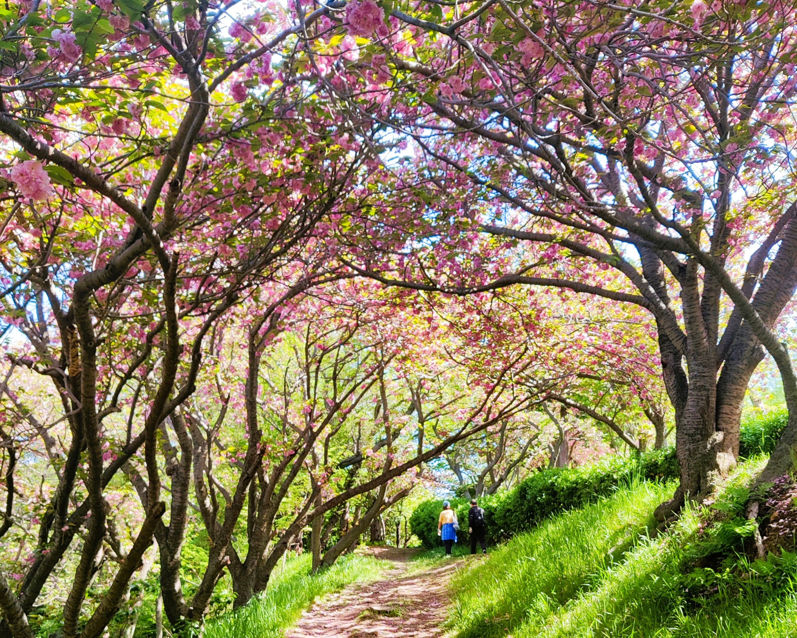 Democracy Park in Busan