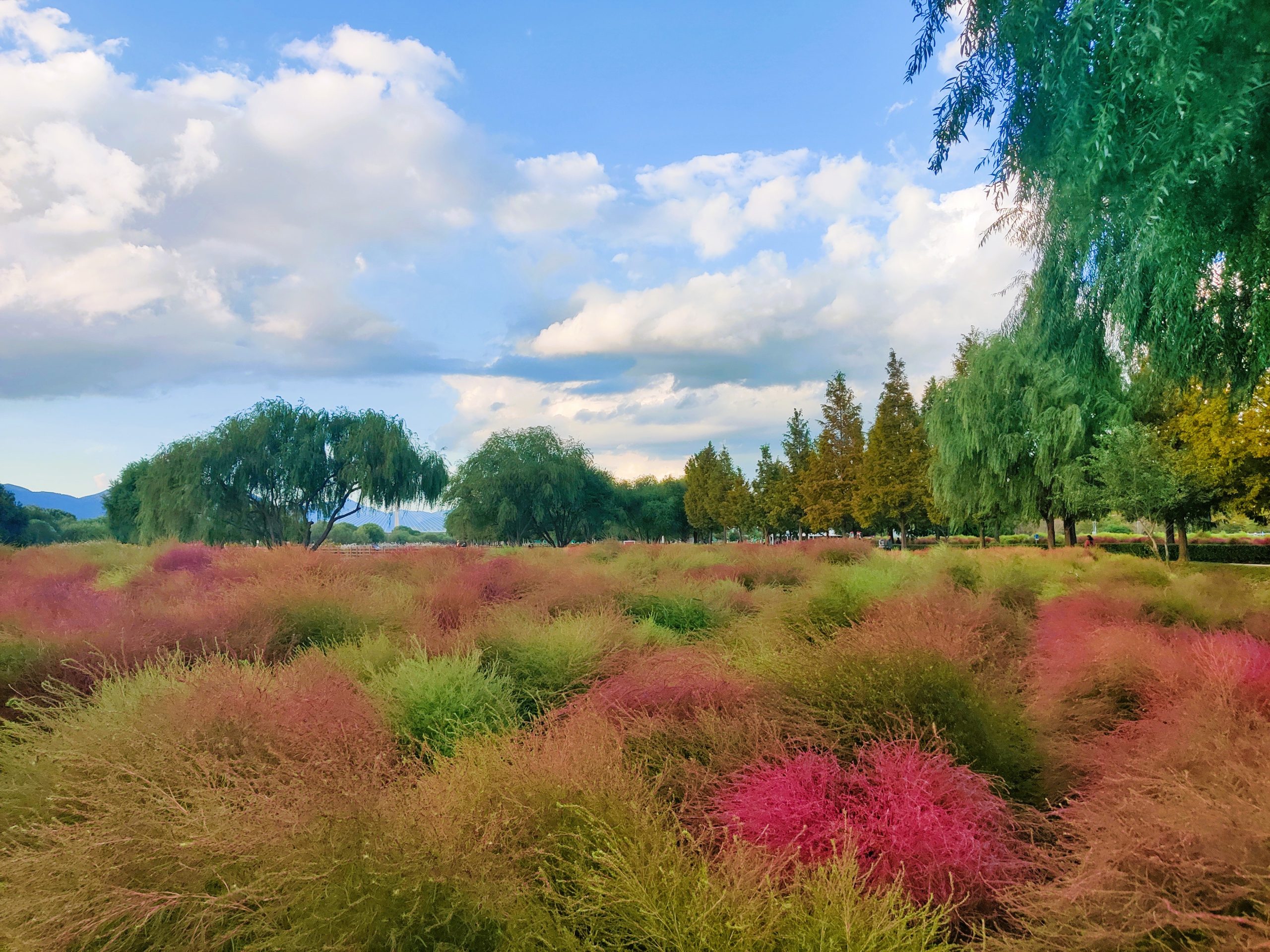 Hwamyeong eco park Busan - top 15