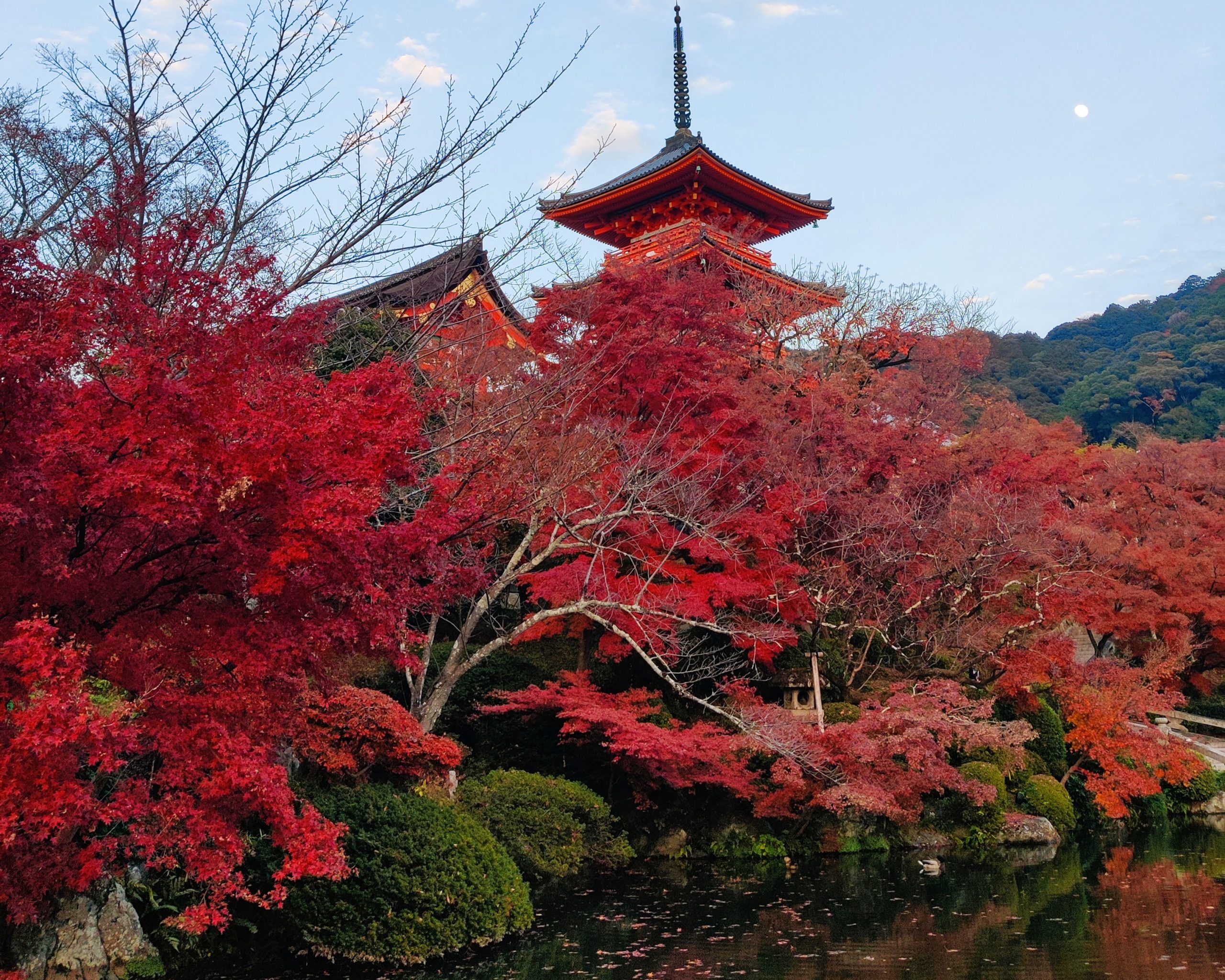 Japan in fall