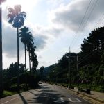 Where to stay on Jeju Island