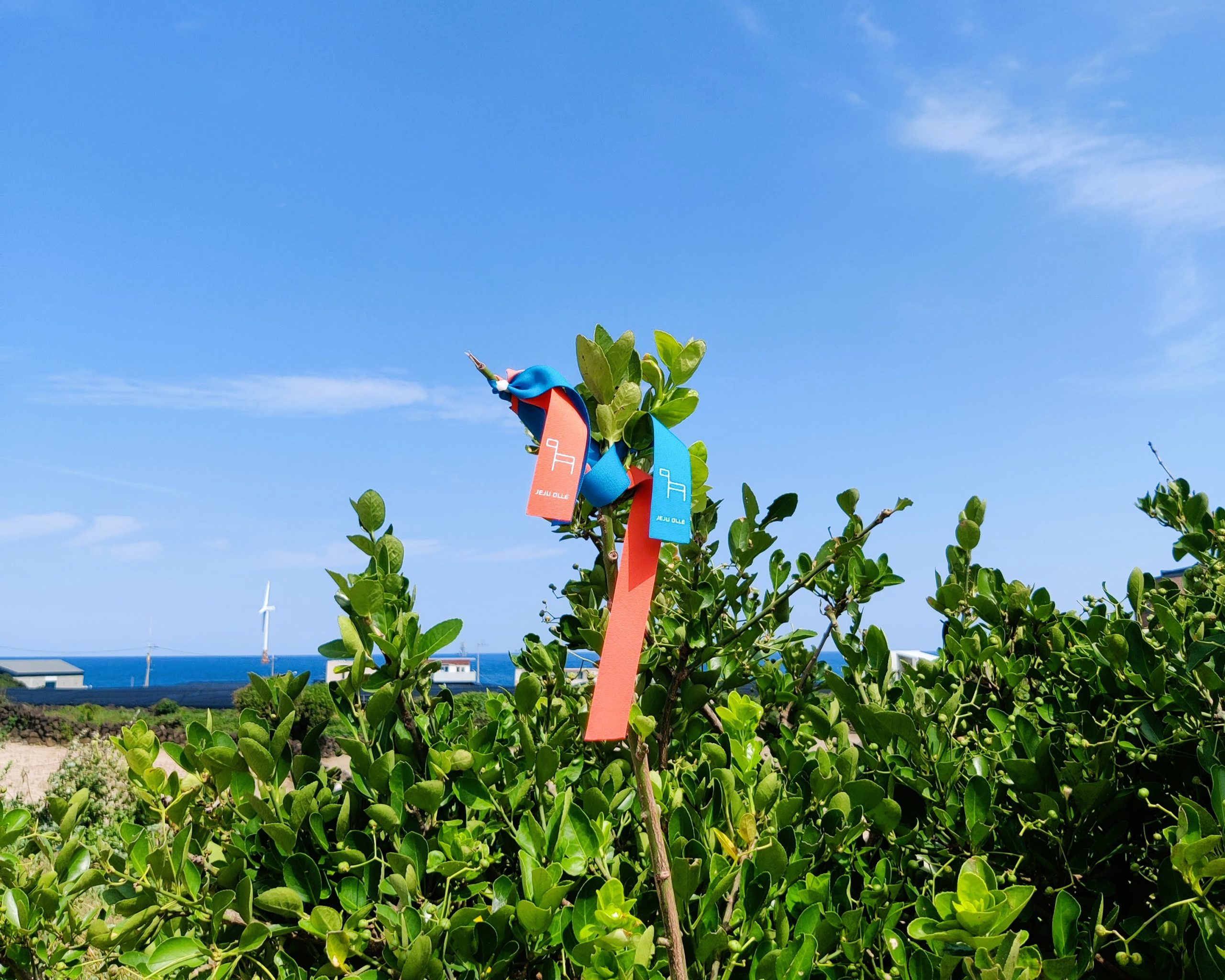 Where to stay on Jeju Island - olle trail