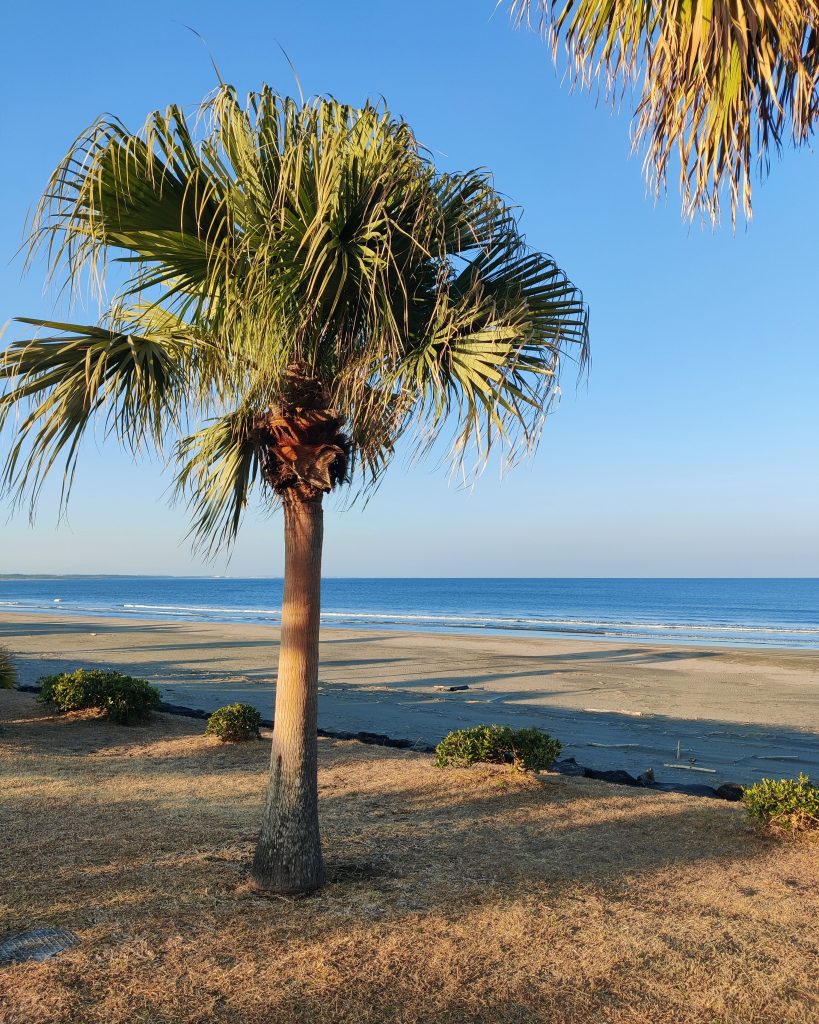 Aoshima beach