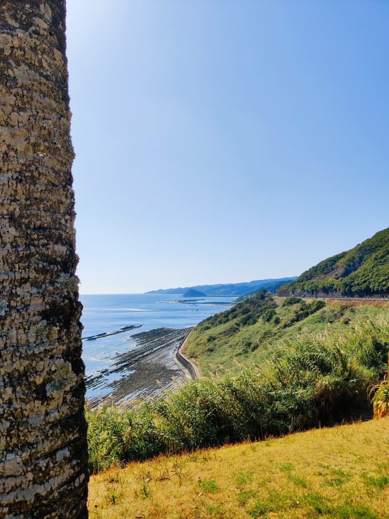 Nichinan Coast - around Aoshima