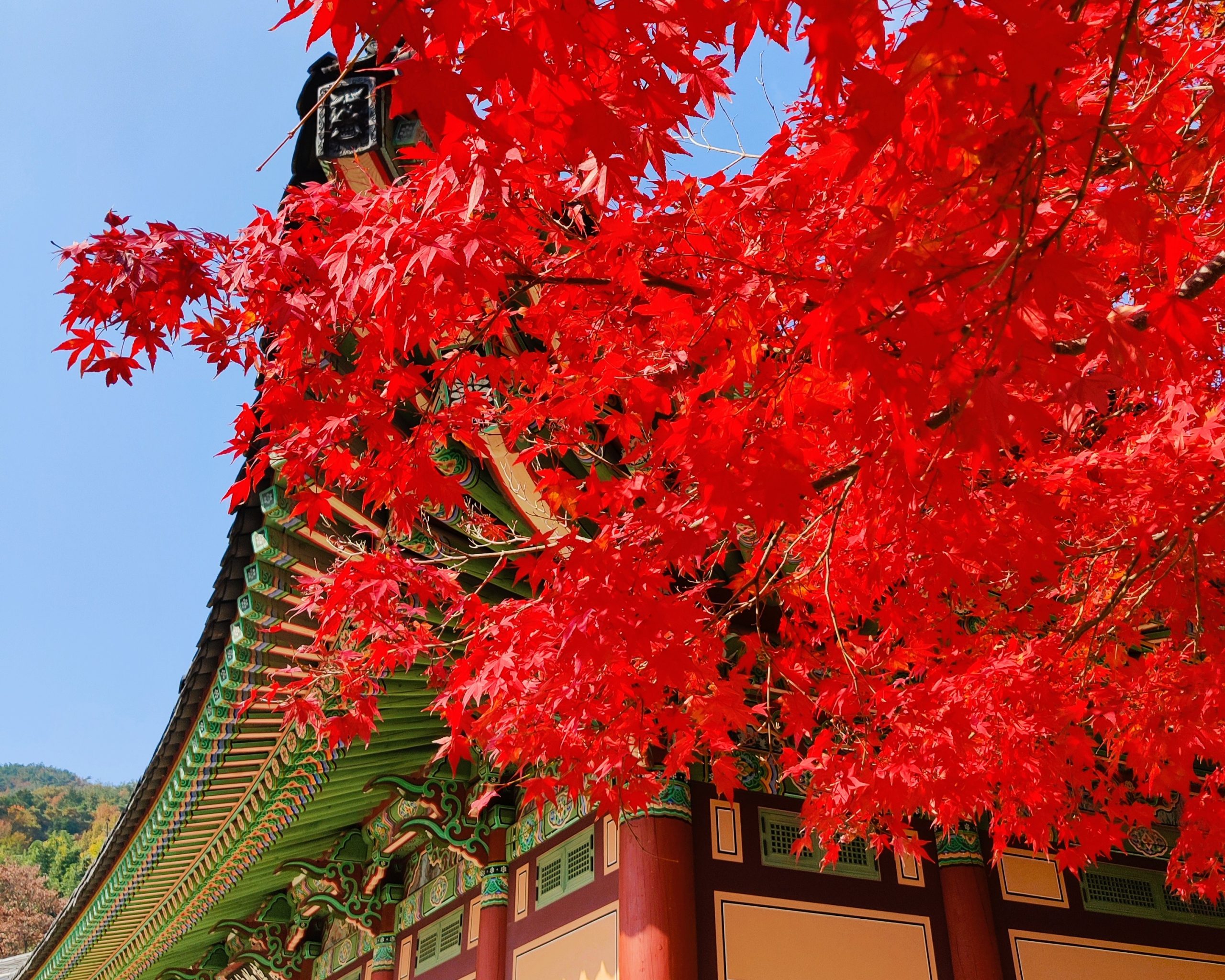 Beomeosa - Busan in the fall