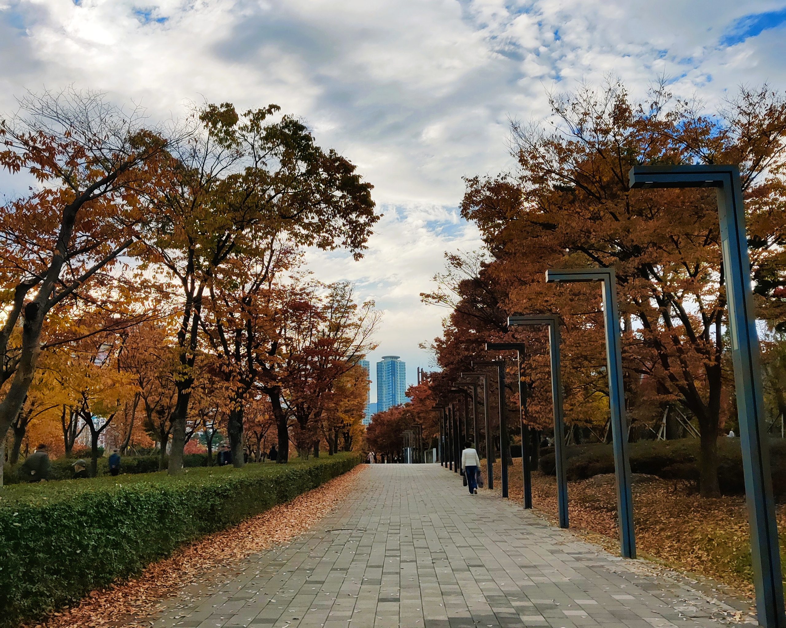 Busan in the fall - citizens park